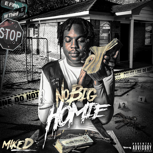 No Big Homie album cover