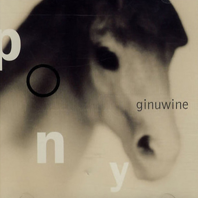Pony album cover