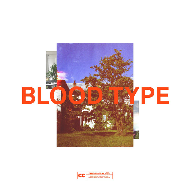 Blood Type album cover