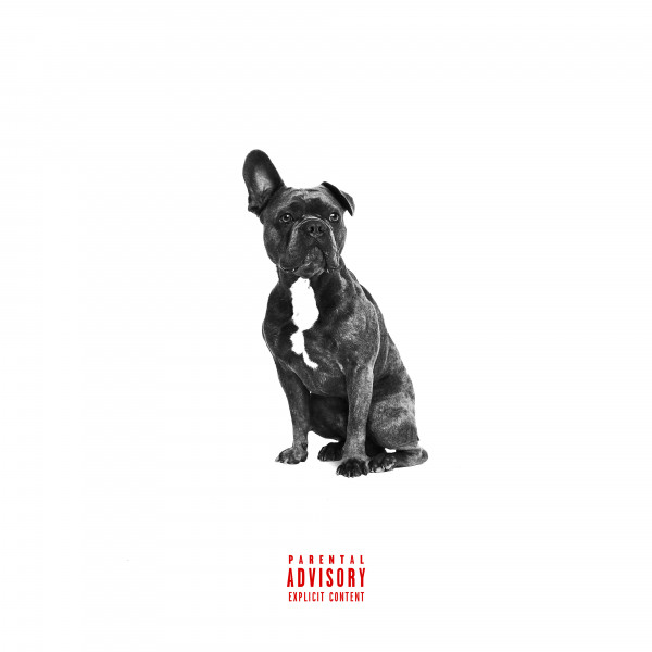 Alpha album cover