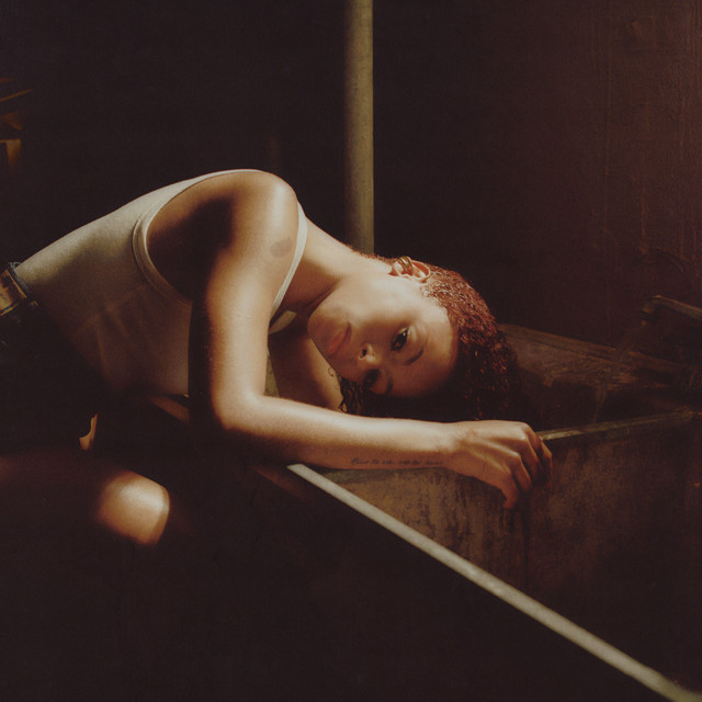 Bird's Eye album cover