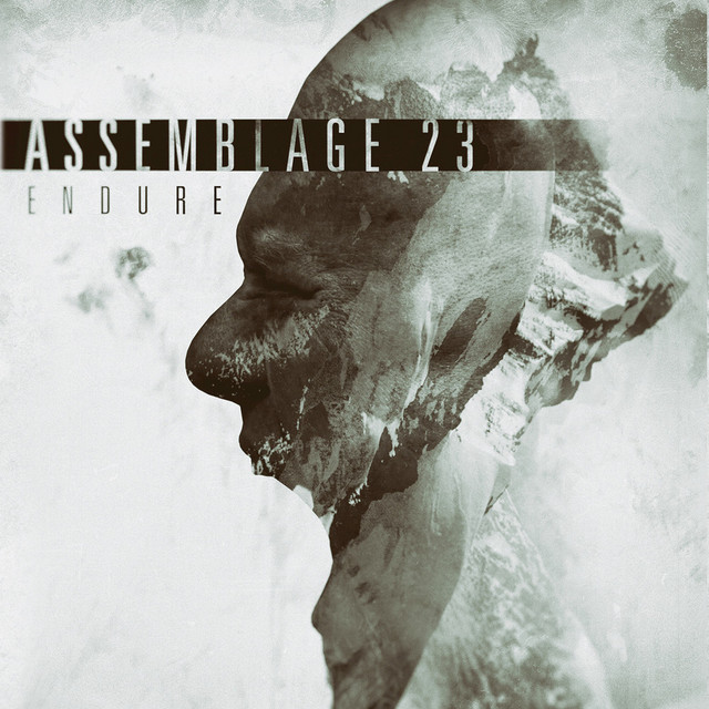 Endure album cover
