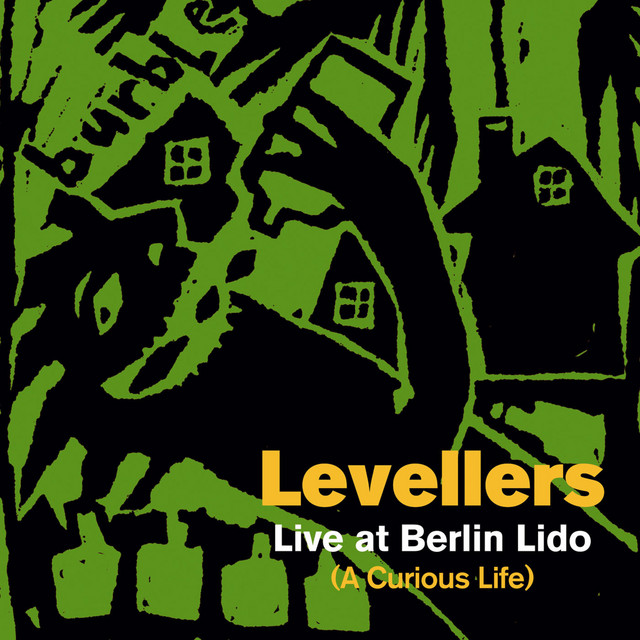 A Curious Life (Live At Berlin Lido) album cover