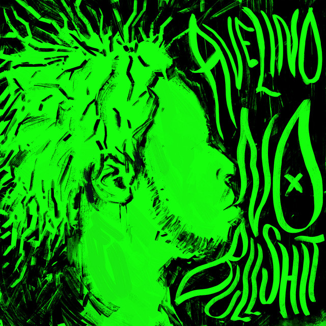 NO BULLSHIT album cover