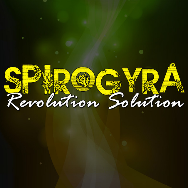 Revolution Solution album cover