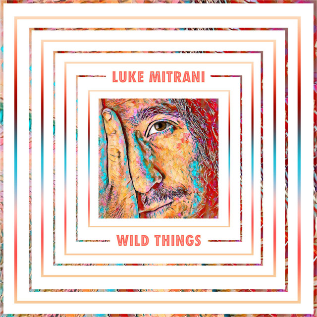 Wild Things album cover
