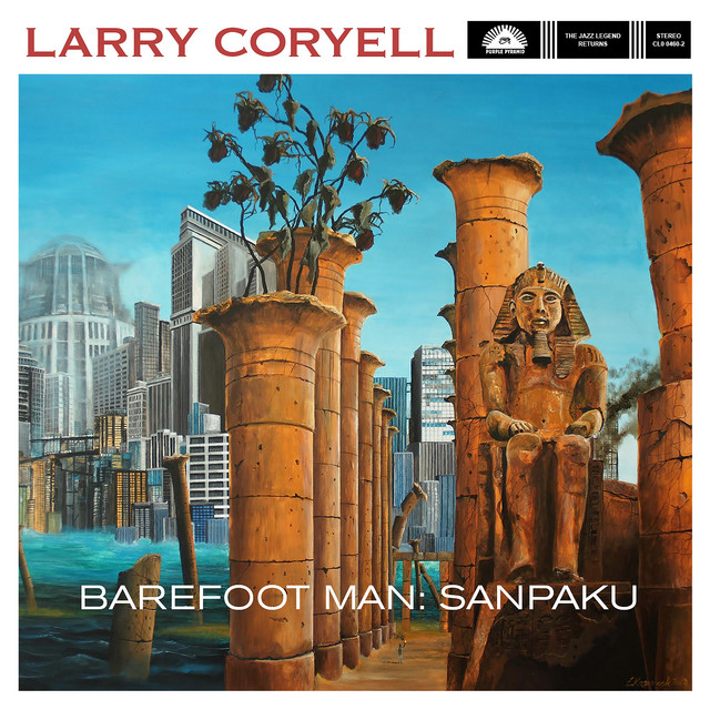 Dunlop Herco Flex 75 Nylon 1.01mm Guitar Picks as heard on Barefoot Man: Sanpaku by Larry Coryell (2016)