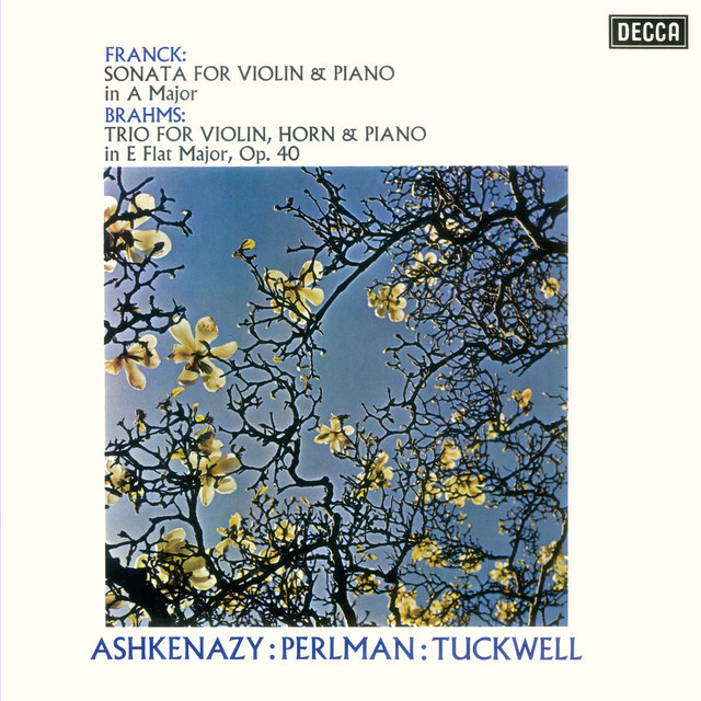 Franck: Violin Sonata / Brahms: Horn Trio album cover