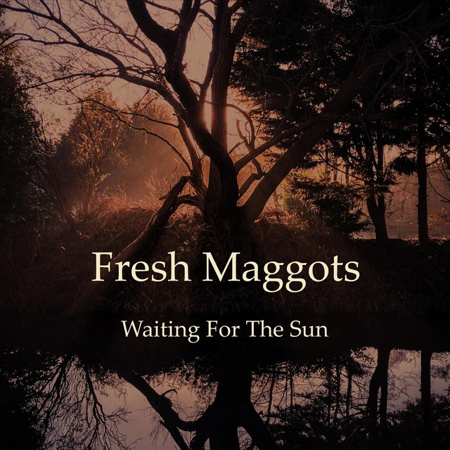 Waiting for the Sun album cover