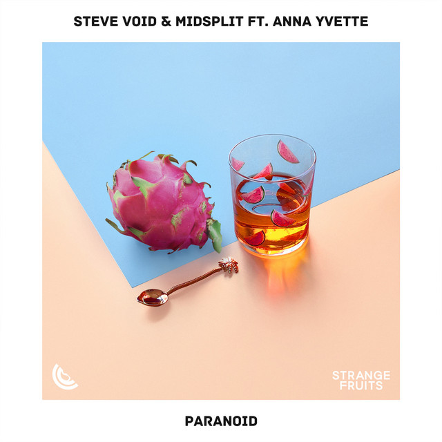 Boss RC-50 Loop Station as heard on Paranoid by Anna Yvette (2018)