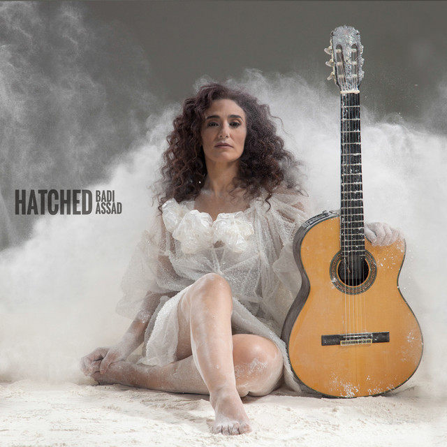 Hatched album cover
