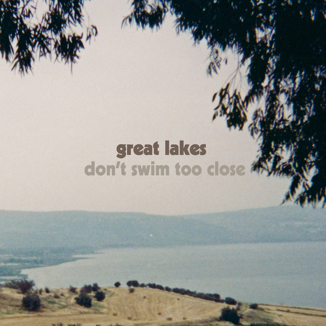 Don't Swim Too Close album cover