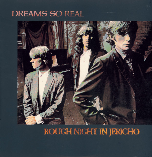 Rough Night In Jericho album cover