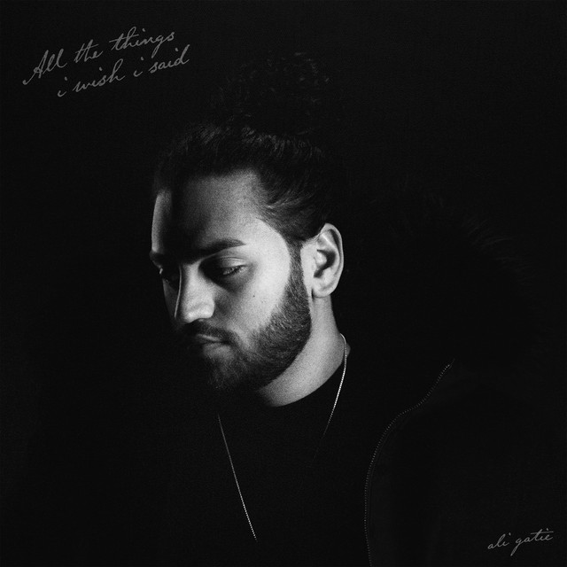 all the things i wish i said album cover