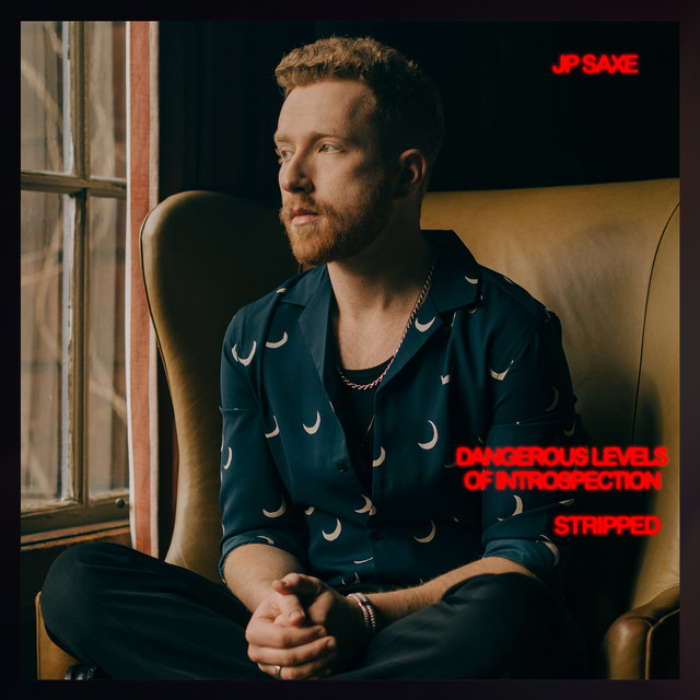 Dangerous Levels Of Introspection (Stripped) album cover