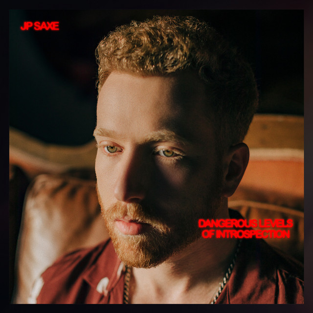 Dangerous Levels of Introspection album cover