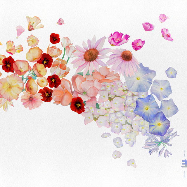 Flor album cover