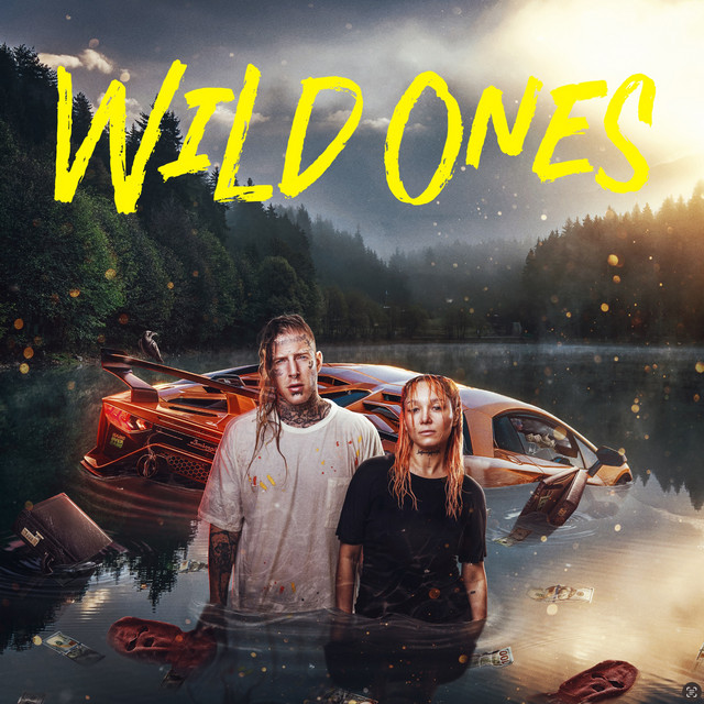 Wild Ones album cover