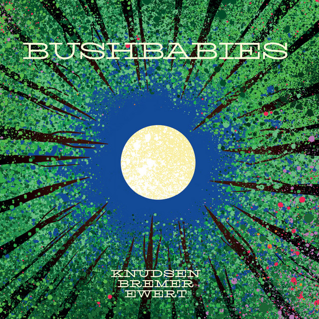 Bushbabies album cover