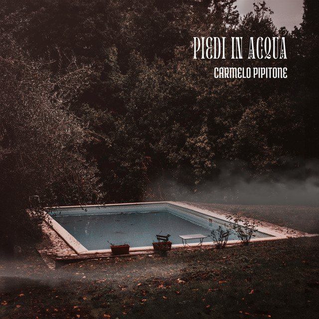Piedi in acqua album cover