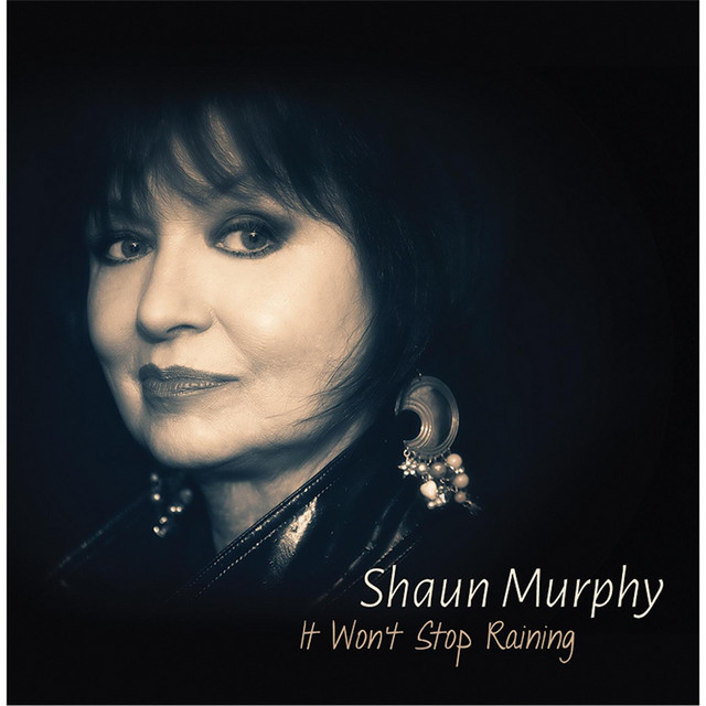 It Won't Stop Raining album cover