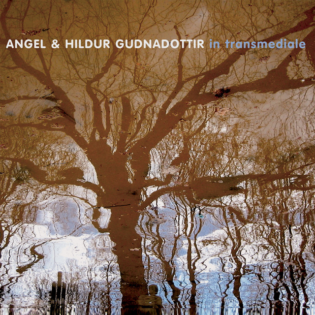In Transmediale album cover