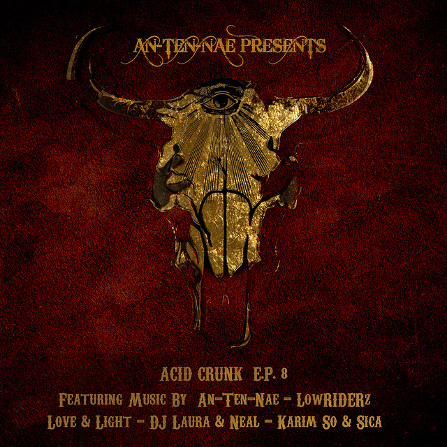 Acid Crunk EP 8 album cover
