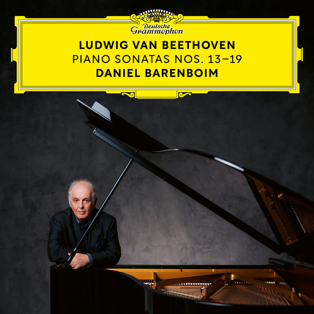 Beethoven: Piano Sonatas Nos. 13-19 album cover