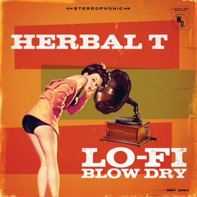 Lo-Fi Blow Dry album cover