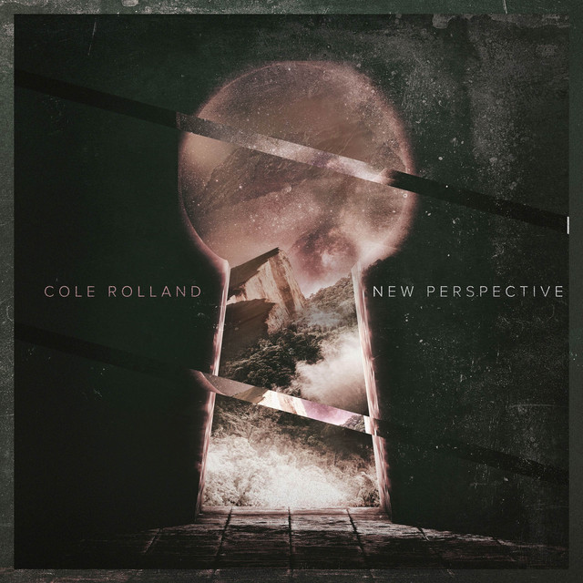 New Perspective album cover