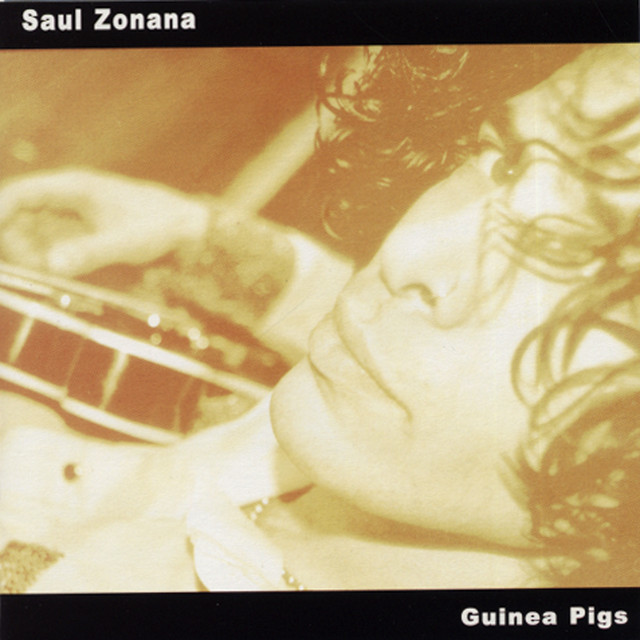Guinea Pigs album cover