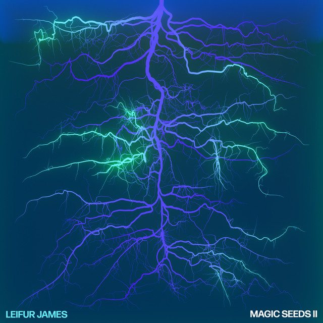 Magic Seeds II album cover
