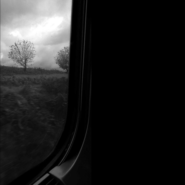 Nel torbido album cover