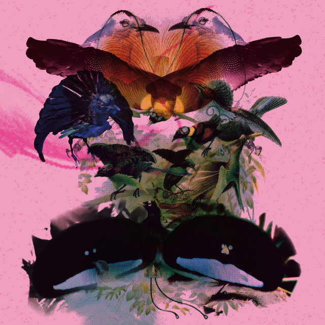 Rojus (Designed to Dance) album cover