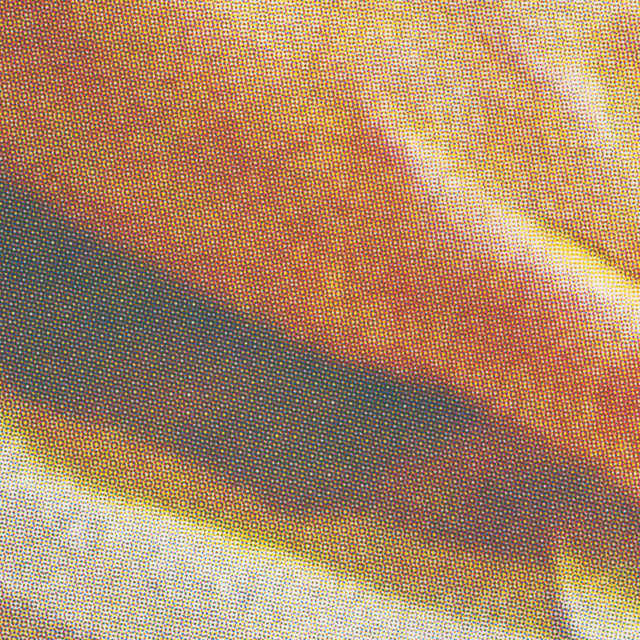 Skin album cover