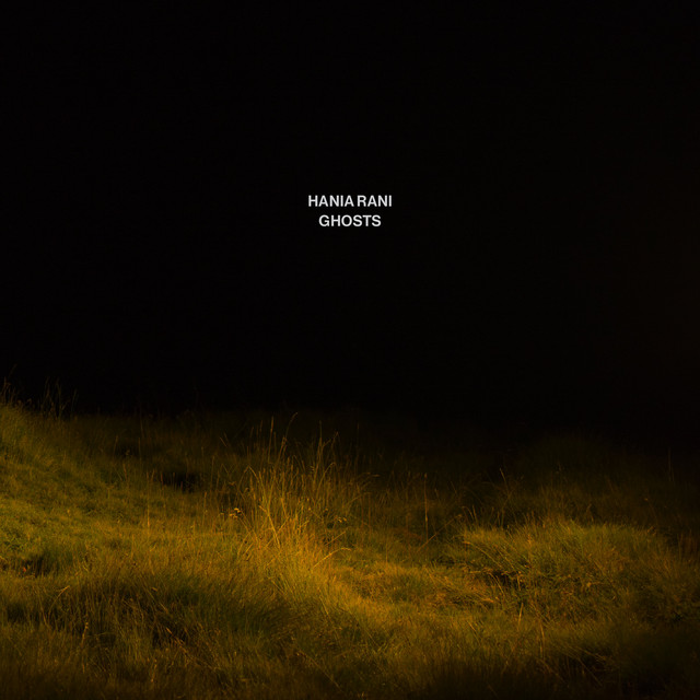 Ghosts album cover