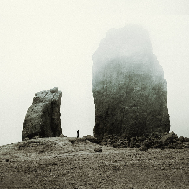 Reunion album cover
