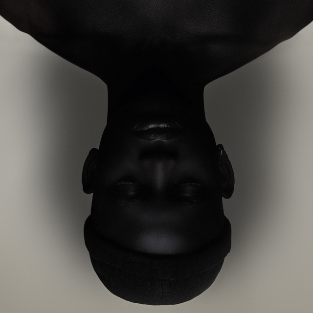 SNOWDOME album cover