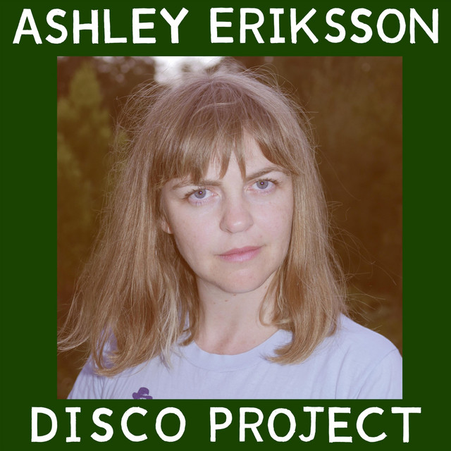 Disco Project album cover