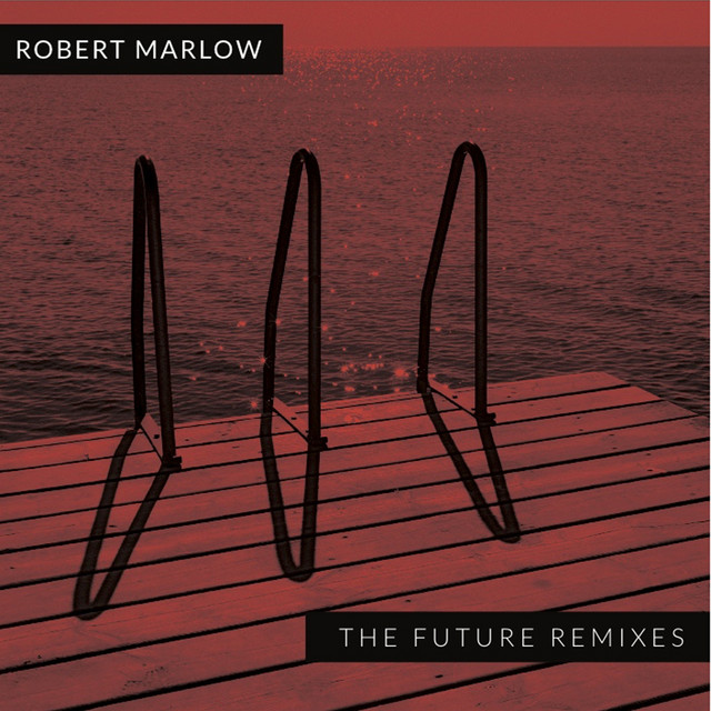 The Future Remixes album cover