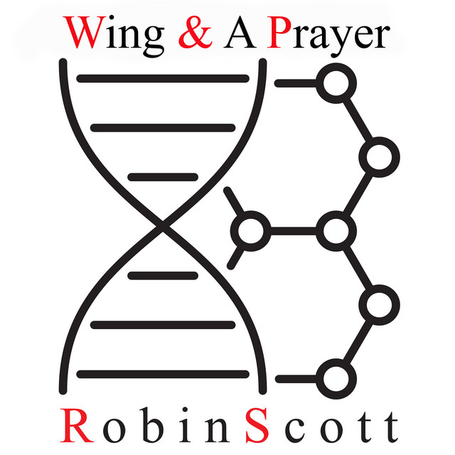 Wing & a Prayer album cover