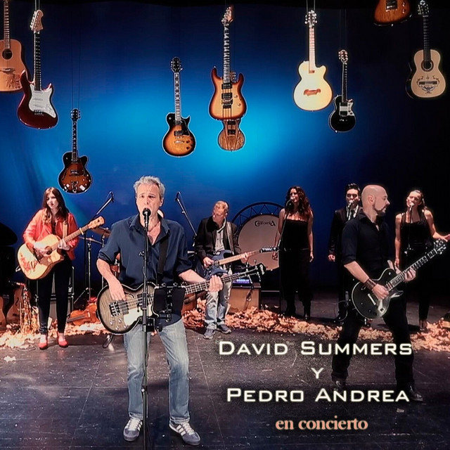 David Summers y Pedro Andrea en Concierto (En Directo) album cover