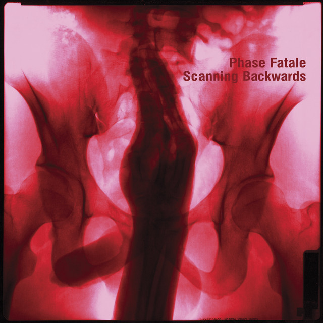Scanning Backwards album cover