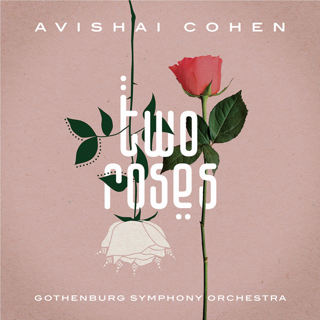 Two Roses (The Commented Version) album cover