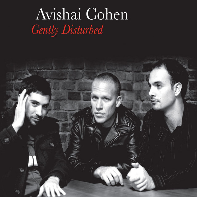 Gently Disturbed album cover