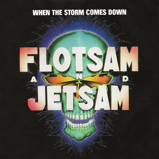 When The Storm Comes Down album cover