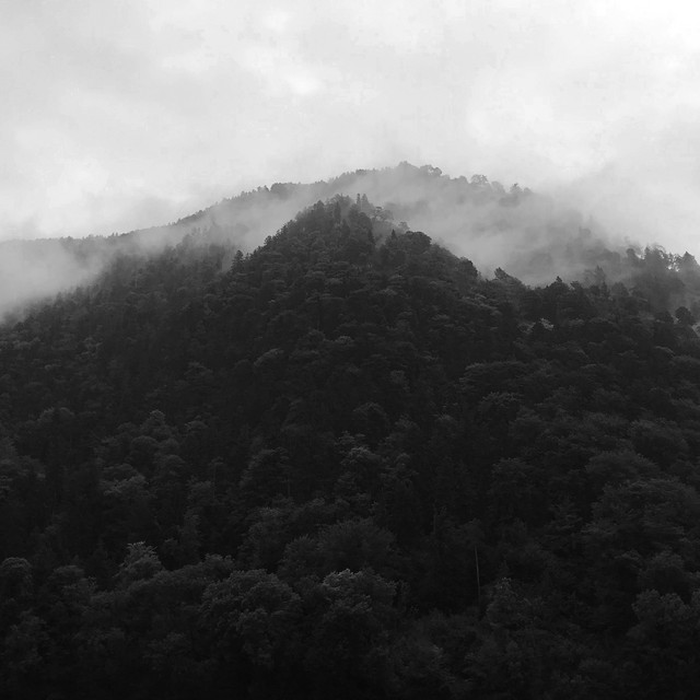 Environmental Music for Reading album cover