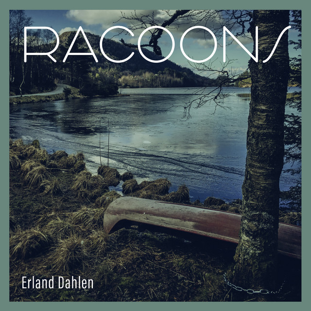 Racoons album cover