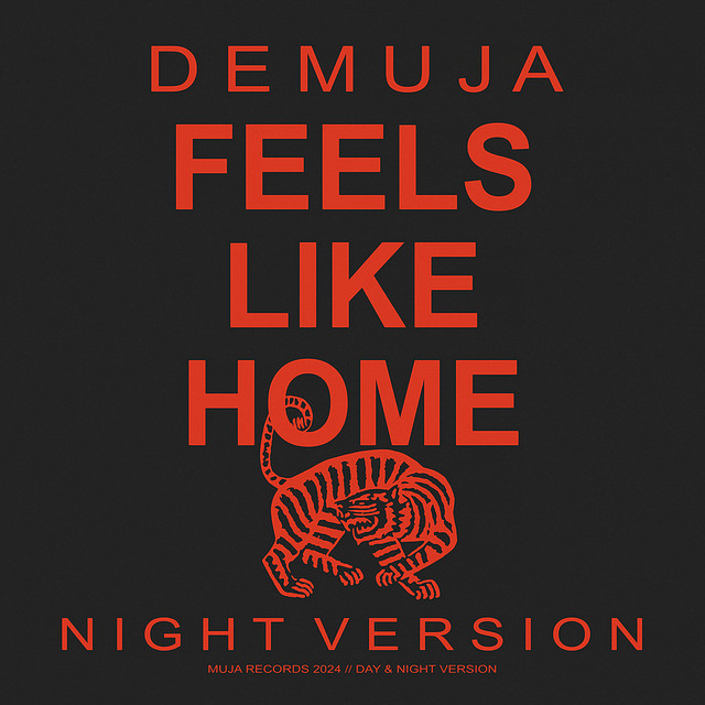 Feels Like Home (Night Version) album cover