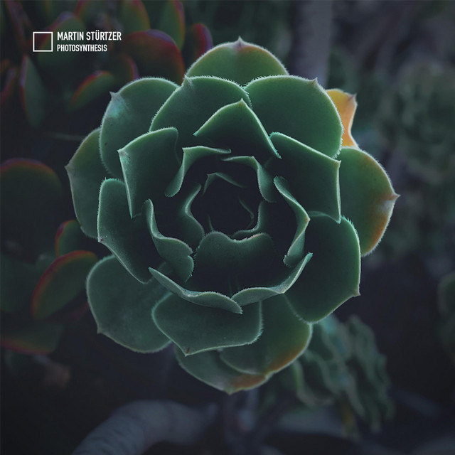 Photosynthesis album cover